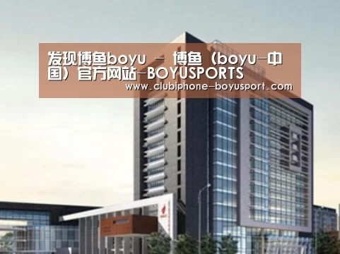 博鱼体育案例展示四