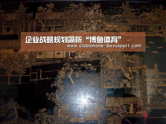 企业战略规划简析“博鱼体育”(图3) 博鱼官方网站入口